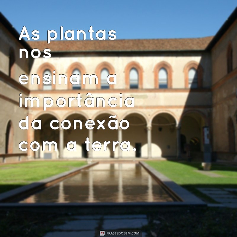 Frases Inspiradoras sobre Plantas para Usar no Seu Status 