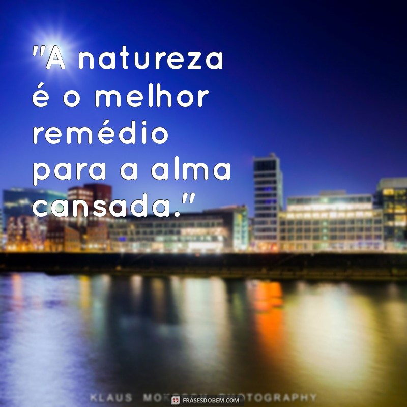 frases da natura 