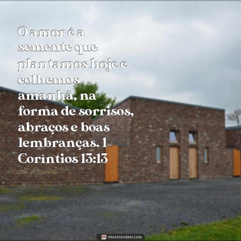 Descubra as melhores frases de amor em 1 Coríntios 13:13 