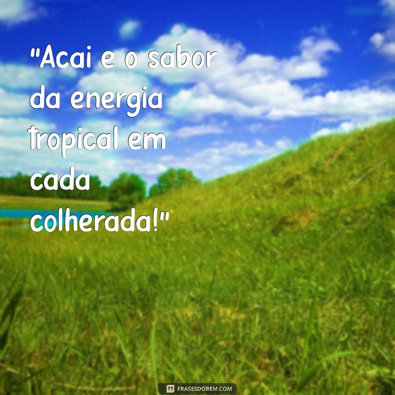 frases para açaí 