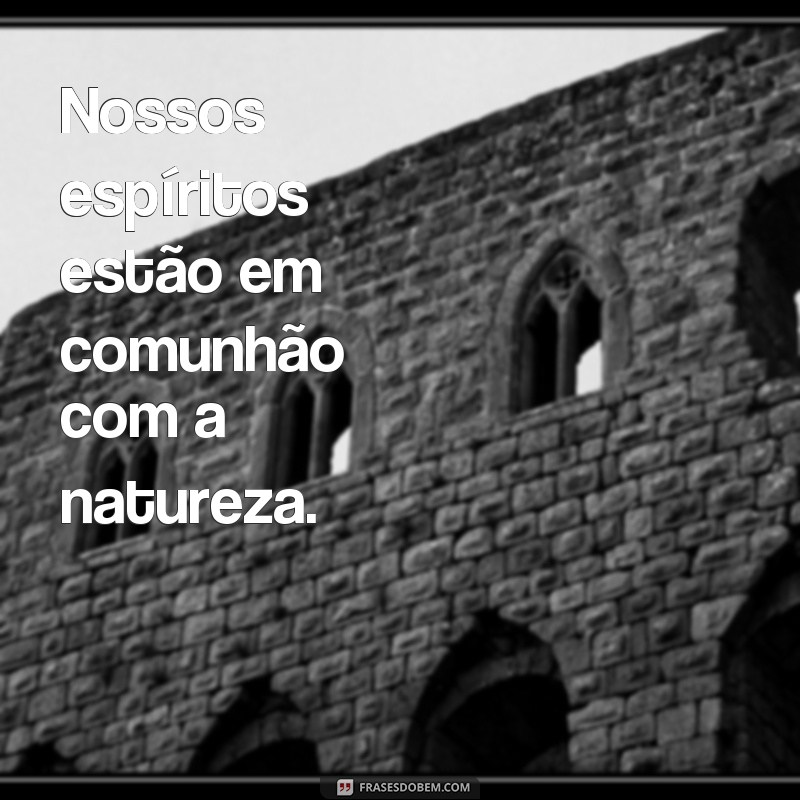 Descubra a sabedoria ancestral: as melhores frases de indígenas para inspirar sua vida 