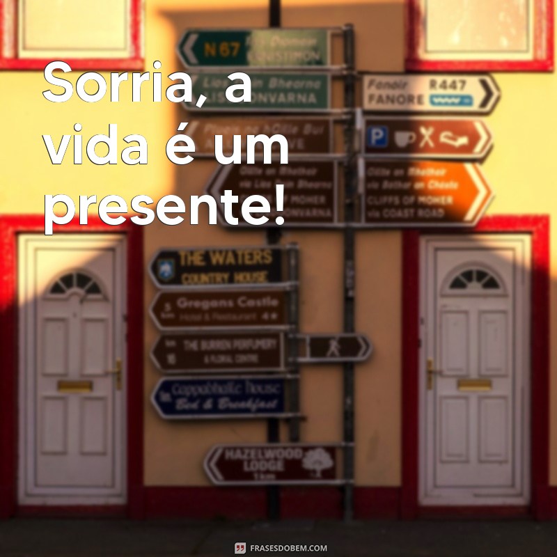 frases curta de felicidade Sorria, a vida é um presente!