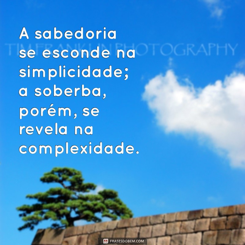 Frases Impactantes sobre Soberba: Reflexões para a Humildade 