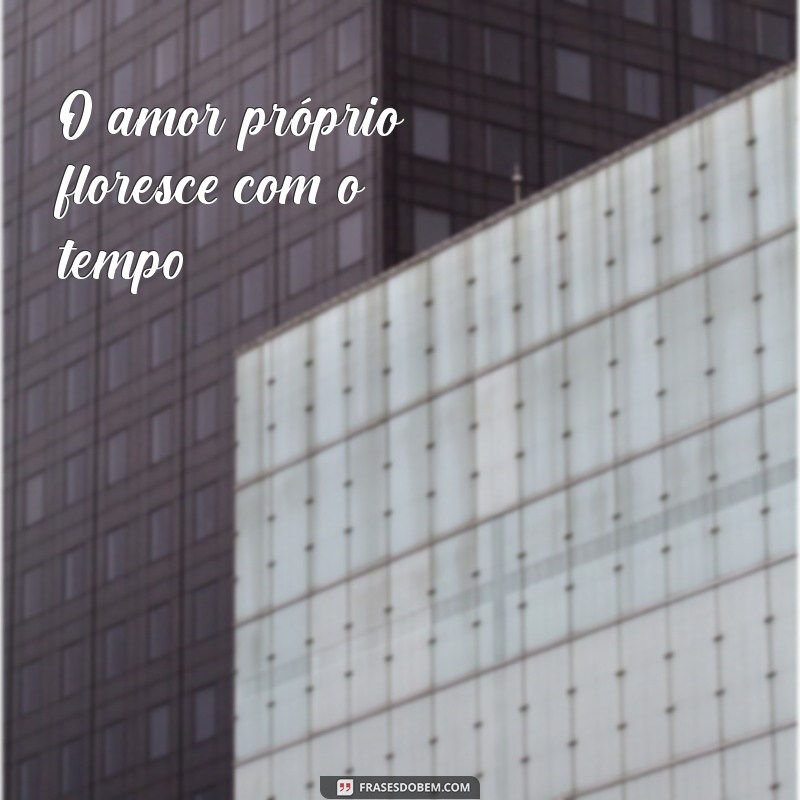 Descubra as Melhores Dicas e Inspirações para Viver Plenamente aos 50 Anos 