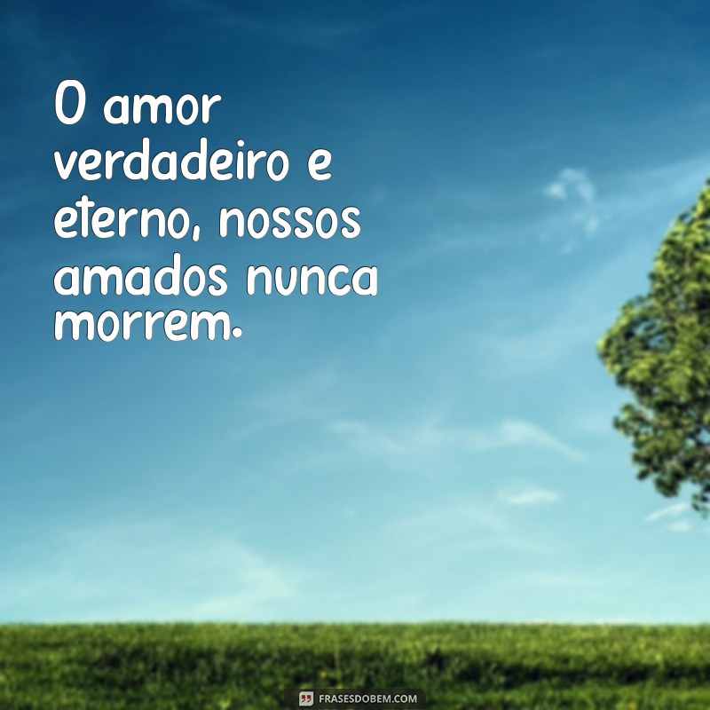 frases aqueles que amamos nunca morrem O amor verdadeiro é eterno, nossos amados nunca morrem.