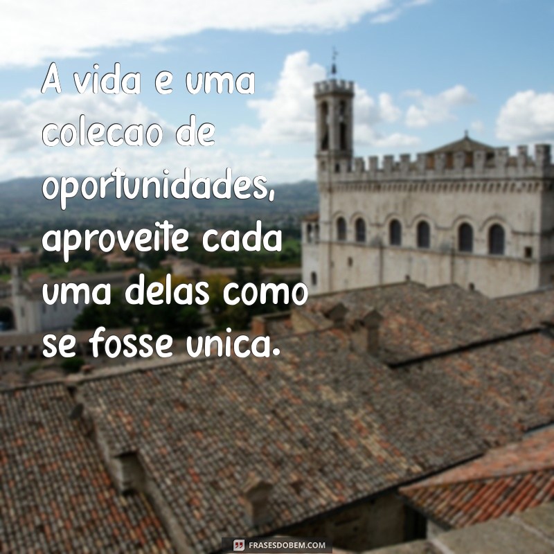 frases sobre oportunidades da vida A vida é uma coleção de oportunidades, aproveite cada uma delas como se fosse única.