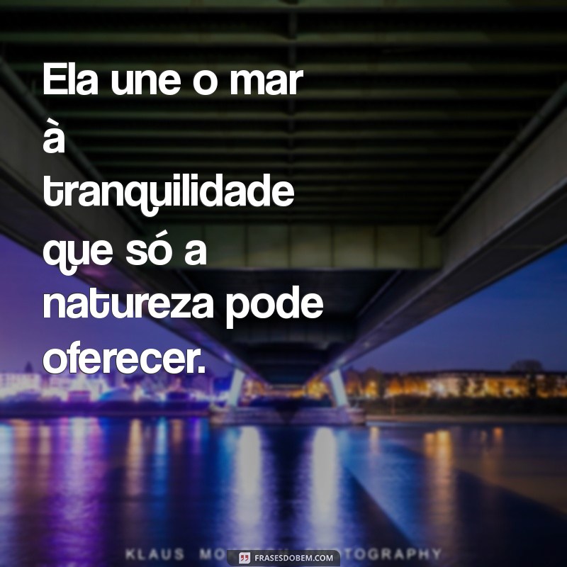 Análise da Letra de Ela Une o Mar: Significados e Interpretações 