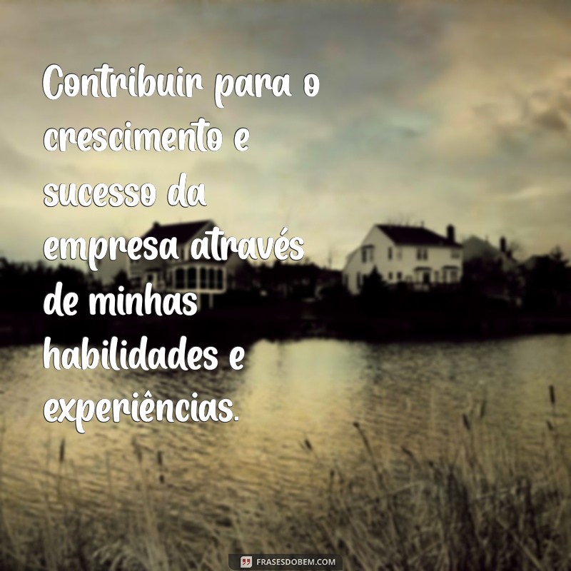 objetivos para se colocar no curriculo Contribuir para o crescimento e sucesso da empresa através de minhas habilidades e experiências.