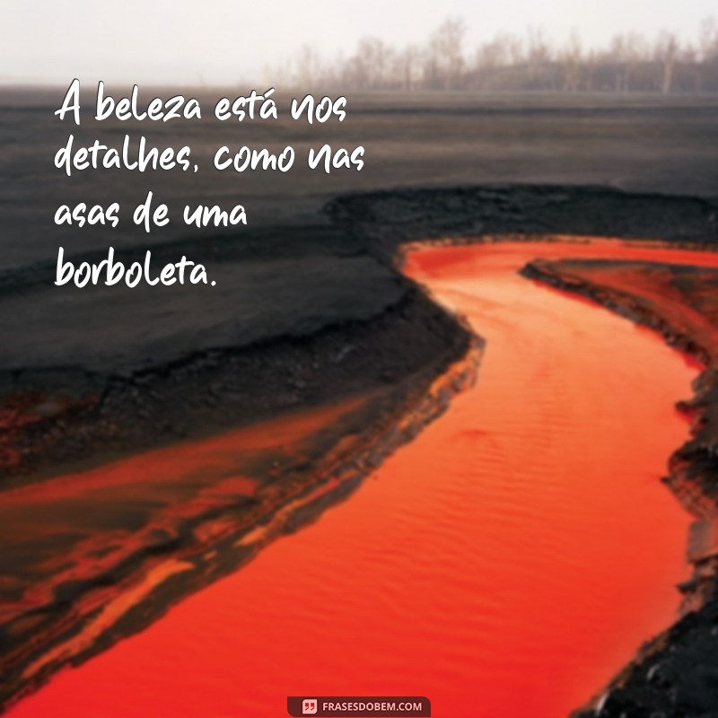 Frases Inspiradoras de Borboleta para Acompanhar Suas Fotos 