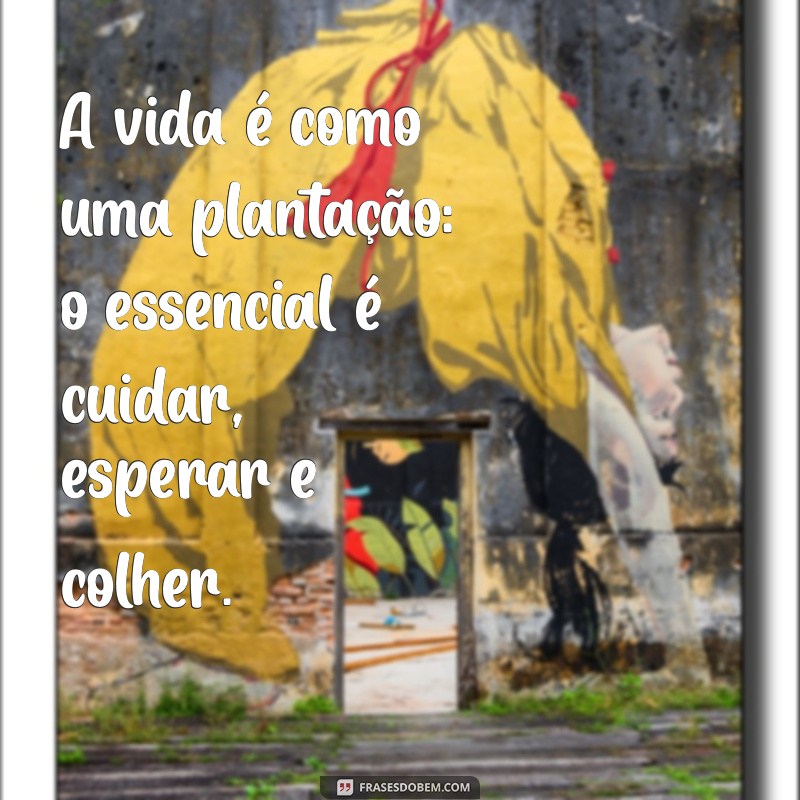 Frases Inspiradoras sobre a Vida no Campo: Mensagens de Fazenda que Encantam 