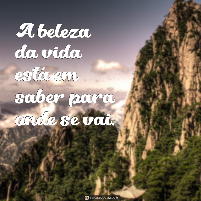 Frases Criativas para Legendar Suas Fotos de Costa 