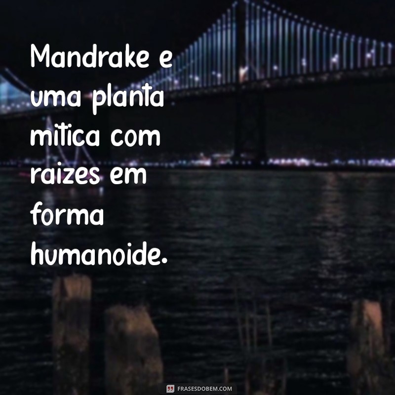 o que e mandrake Mandrake é uma planta mítica com raízes em forma humanoide.