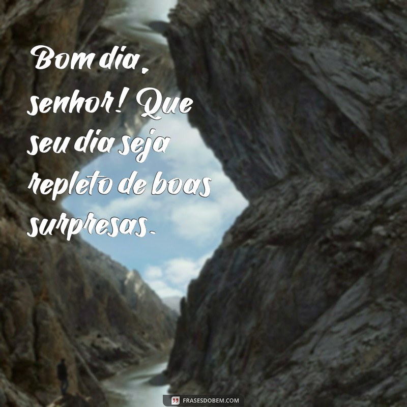 bom dia senhor Bom dia, senhor! Que seu dia seja repleto de boas surpresas.