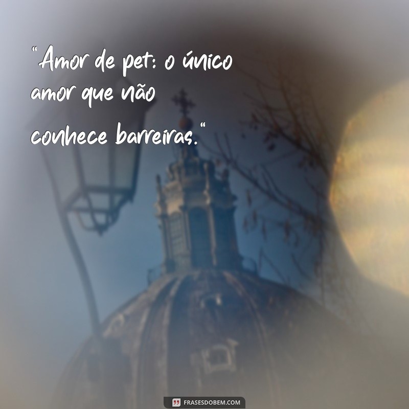 amor de pet frases 