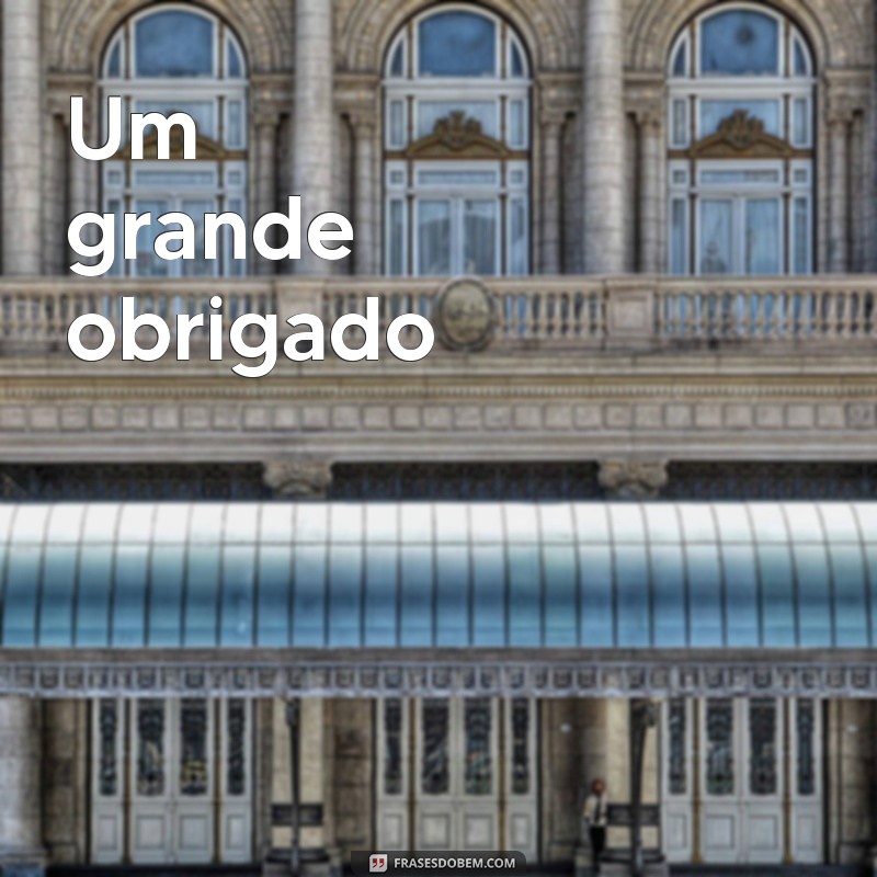 Palavras de Agradecimento: Como Expressar Gratidão de Forma Significativa 