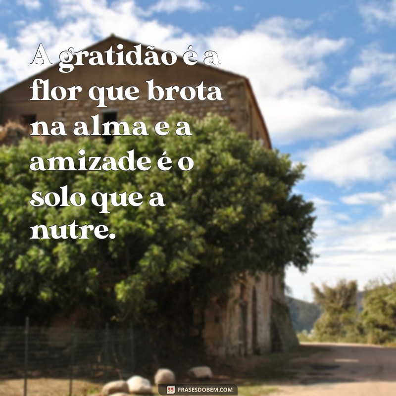 Frases Inspiradoras de Amizade e Gratidão para Valorizar Seus Laços 