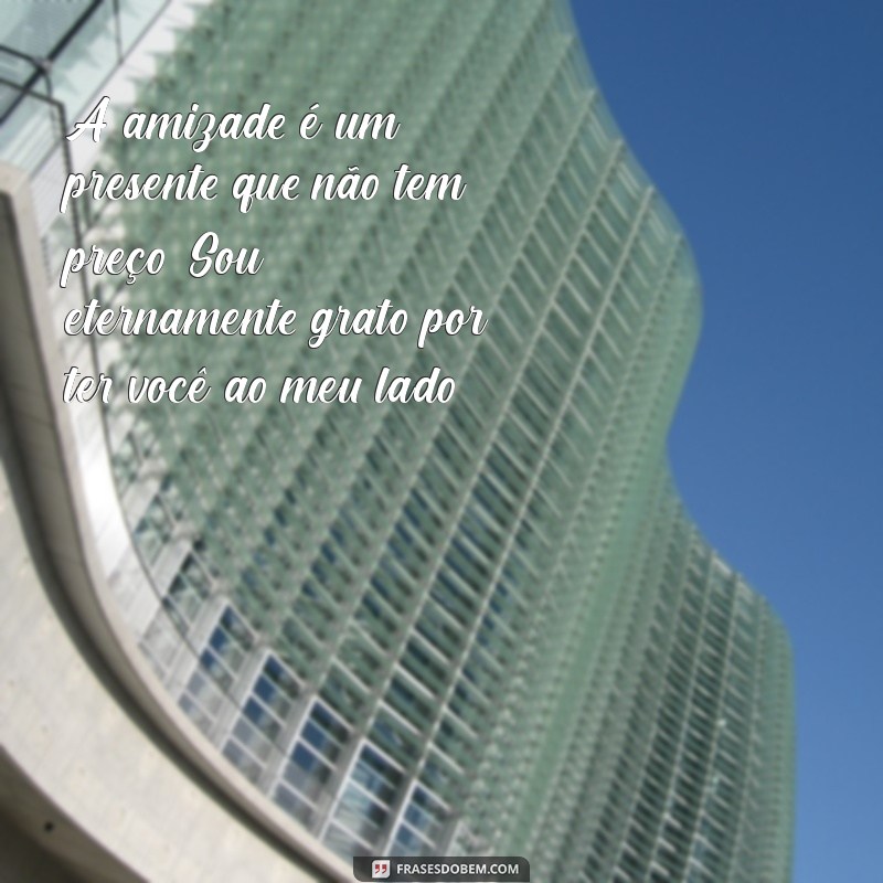 mensagem de agradecimento de amizade A amizade é um presente que não tem preço. Sou eternamente grato por ter você ao meu lado!