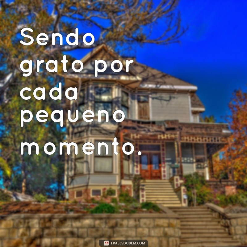 Frases Criativas e Inspiradoras para Usar no Seu Perfil do WhatsApp 