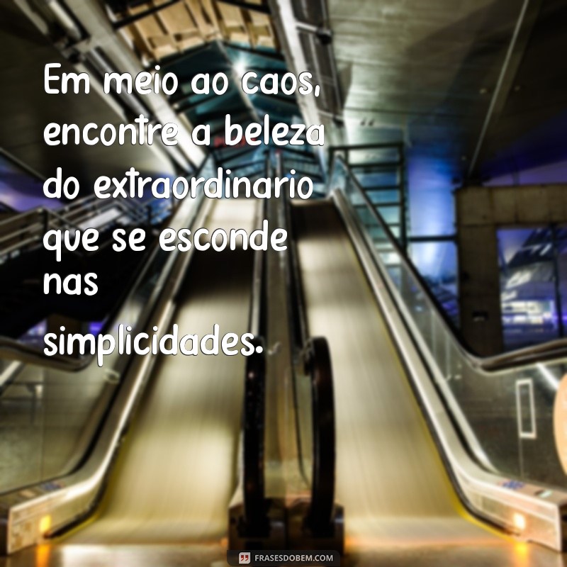 Frases Extraordinárias: Inspiração e Motivação para Transformar seu Dia 