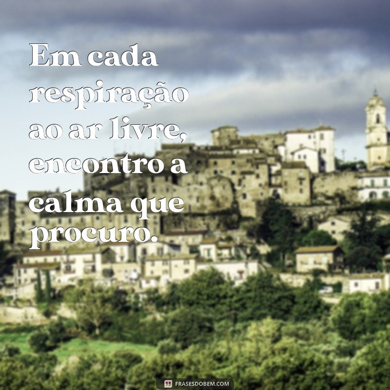 Frases Inspiradoras sobre a Natureza e a Paz: Conecte-se com o Seu Interior 