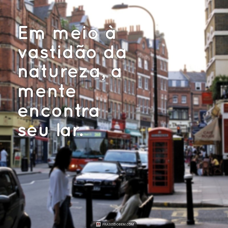 Frases Inspiradoras sobre a Natureza e a Paz: Conecte-se com o Seu Interior 