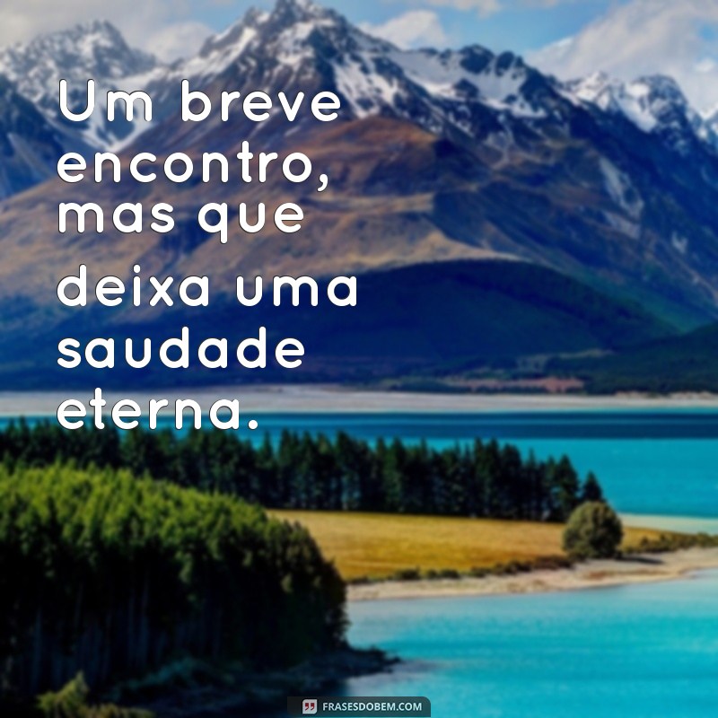 Frases Criativas para Encantar Seu Ficante em Pouco Tempo 