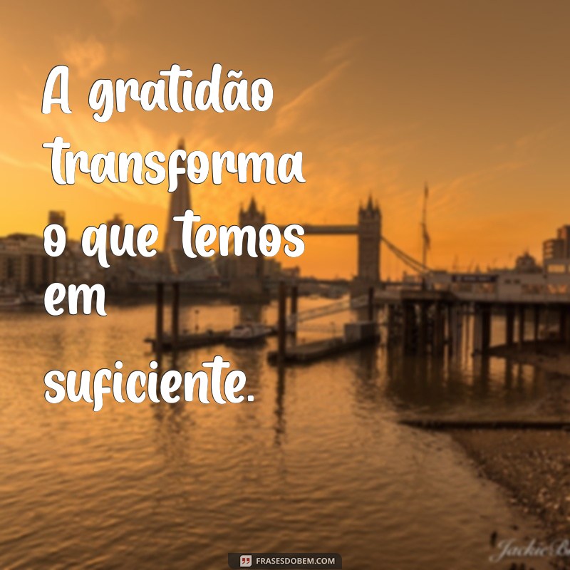 dizeres de gratidão A gratidão transforma o que temos em suficiente.