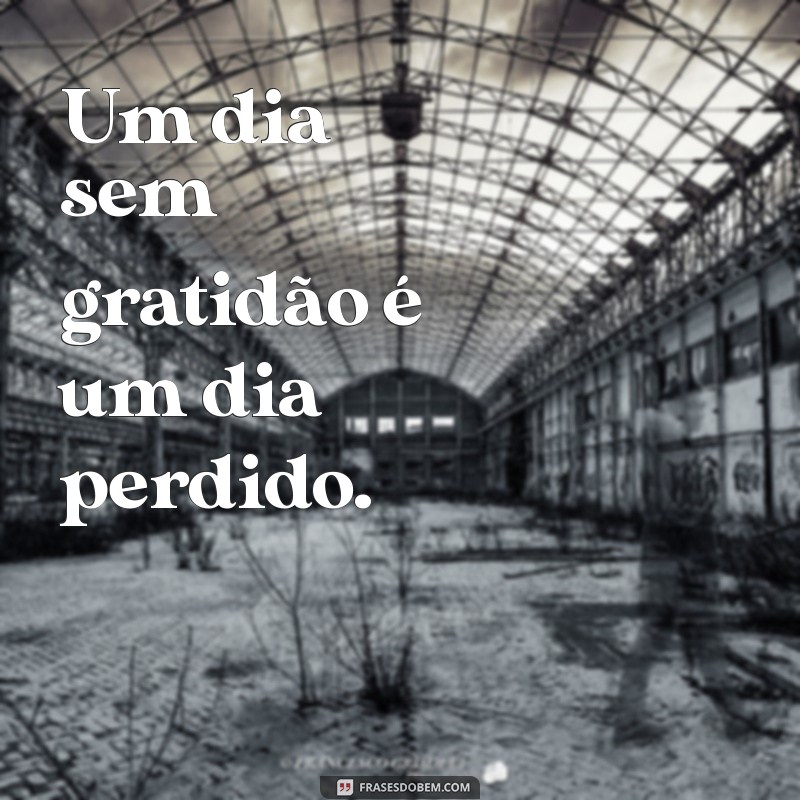 Frases Inspiradoras de Gratidão para Transformar Seu Dia 