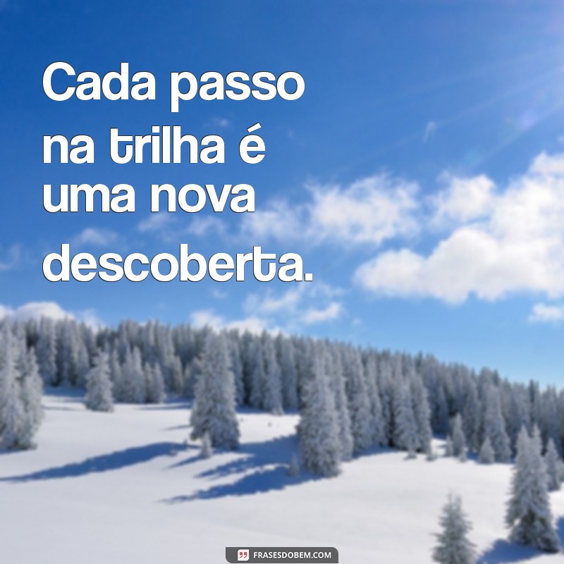 Os Melhores Perfis de Natureza para WhatsApp: Inspire-se com Imagens e Frases 