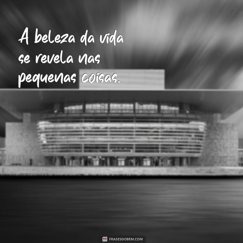 frases preta perfeita A beleza da vida se revela nas pequenas coisas.