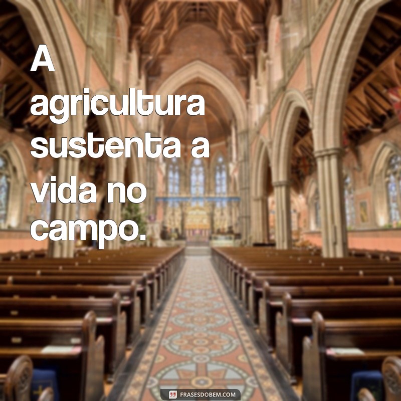 frases de agropecuaria A agricultura sustenta a vida no campo.