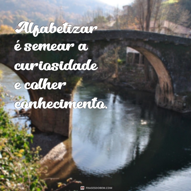 Frases Inspiradoras sobre Alfabetização e Letramento para Educadores e Pais 