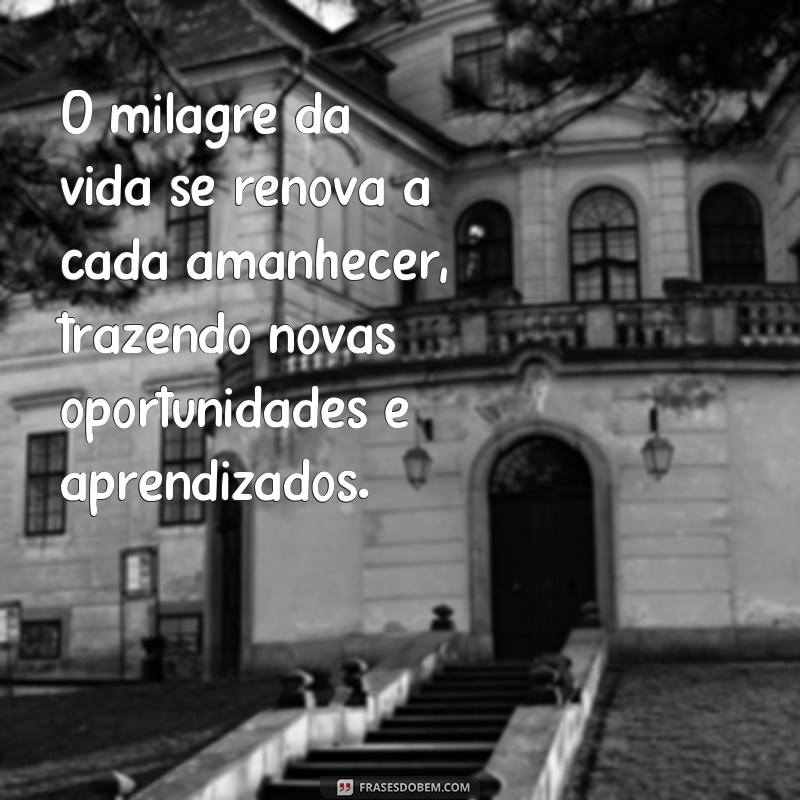 Descubra as melhores frases inspiradoras para trilhar o caminho dos milagres 