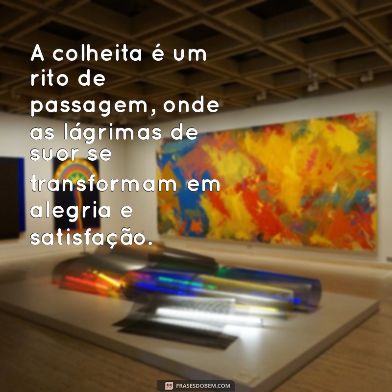 Colheita: Reflexões e Mensagens Inspiradoras para Celebrar a Abundância 