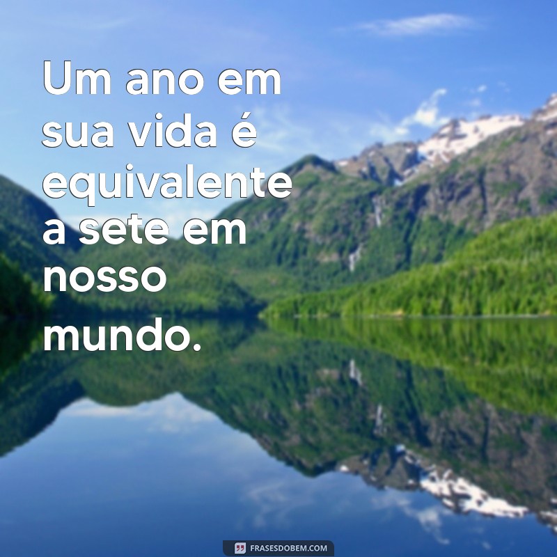 1 ano cachorro Um ano em sua vida é equivalente a sete em nosso mundo.