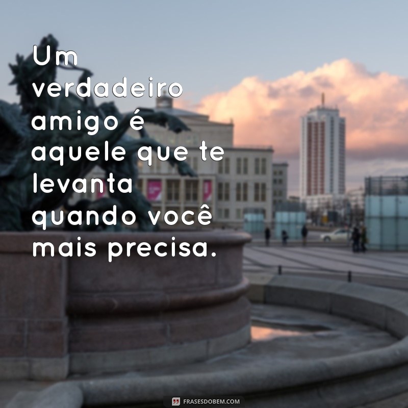 verdadeiro amigo Um verdadeiro amigo é aquele que te levanta quando você mais precisa.