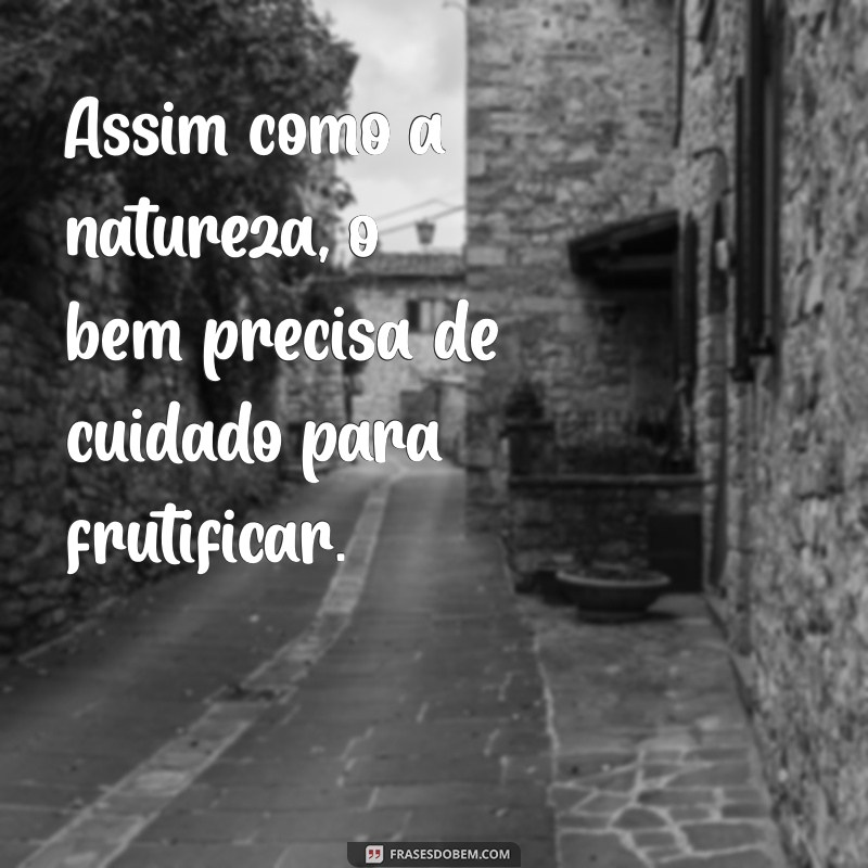 Frases Inspiradoras para Plantar o Bem e Transformar o Mundo 