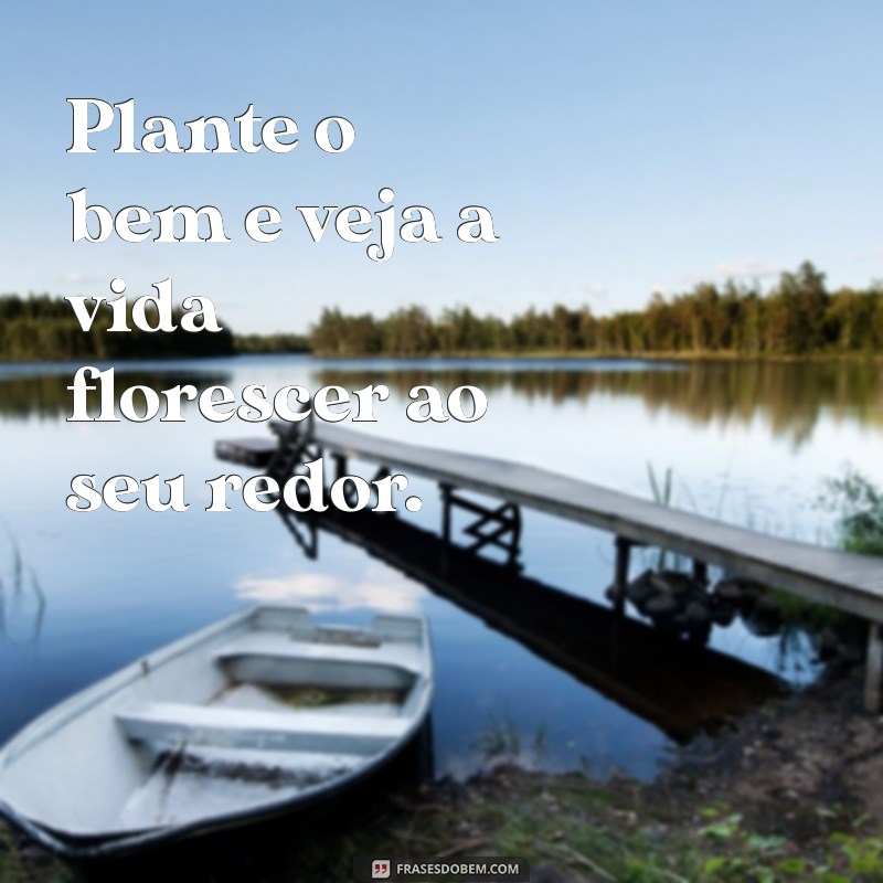 frases plante o bem Plante o bem e veja a vida florescer ao seu redor.