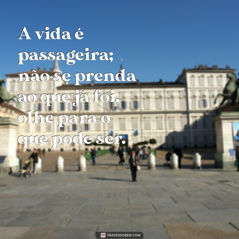 Reflexões sobre a Vida Passageira: Aprendendo a Valorizar Cada Momento 