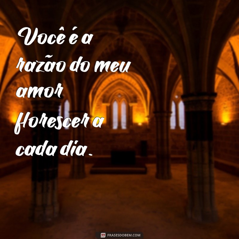 Descubra Como Expressar Seu Amor: Frases Incríveis para Dizer Meu Amor por Você 