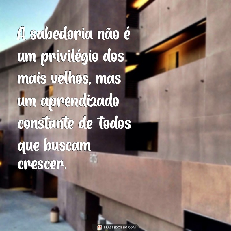 mensagem sabias A sabedoria não é um privilégio dos mais velhos, mas um aprendizado constante de todos que buscam crescer.