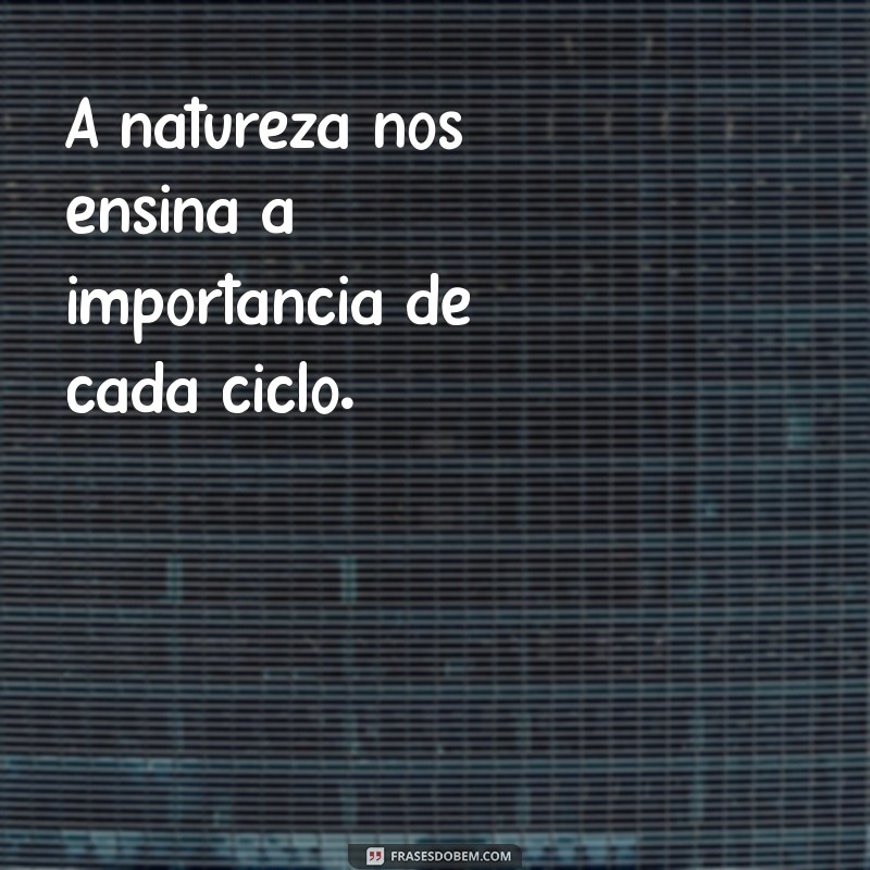 Frases Espontâneas: Inspiração para Momentos Únicos e Autênticos 