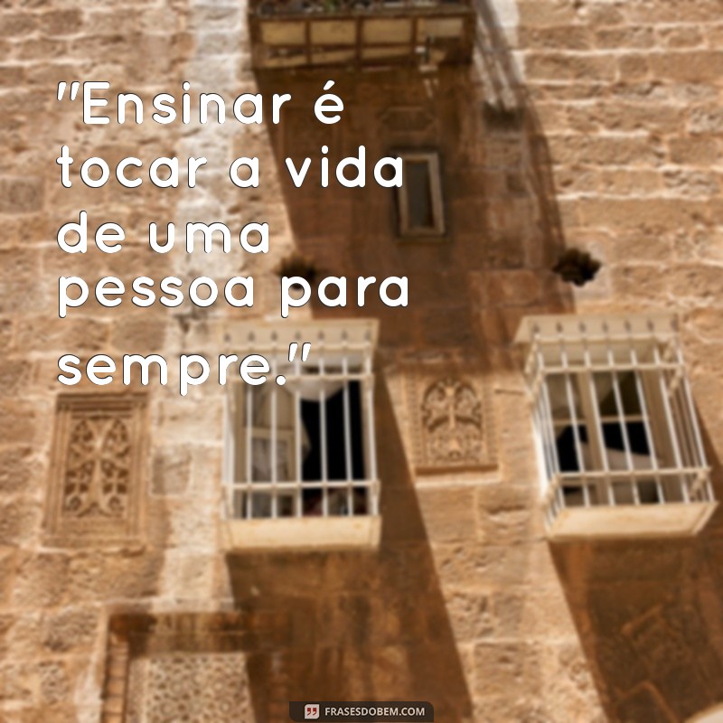 frases sobre ensino 