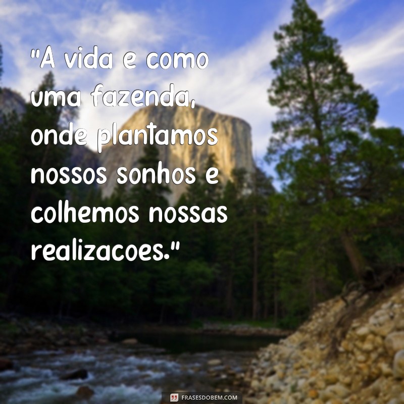 frases fazendas bonitas 