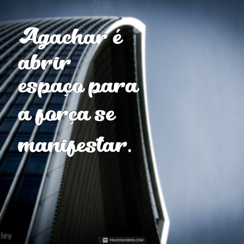 Frases Inspiradoras para Motivar Seu Treino de Agachamento 