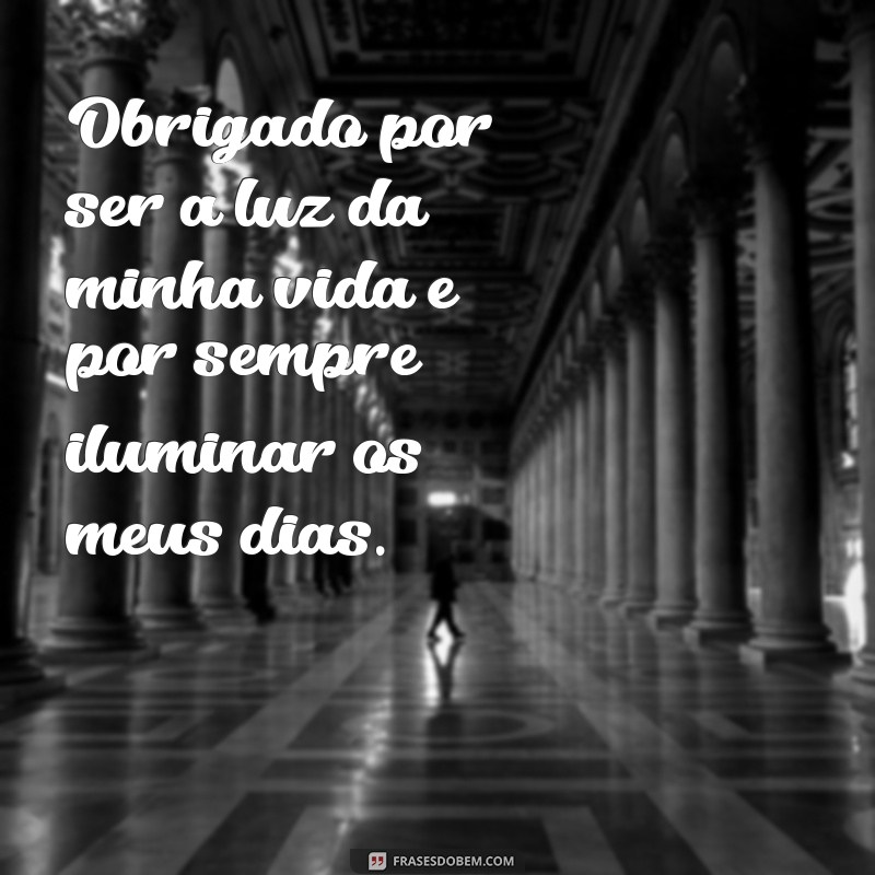 frases de agradecimento a namorada Obrigado por ser a luz da minha vida e por sempre iluminar os meus dias.