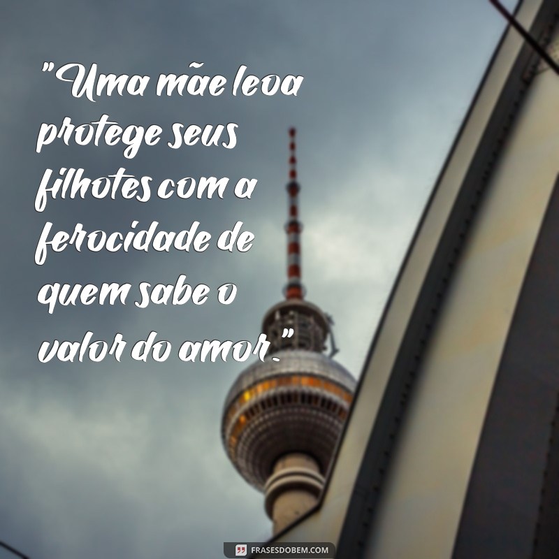 frases mae leoa 