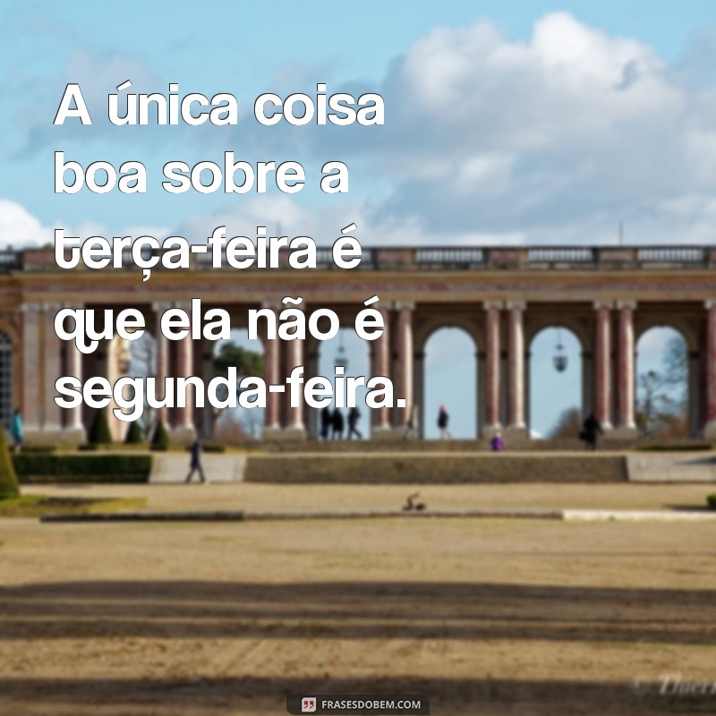 Divirta-se com as melhores frases engraçadas para a sua terça-feira! 