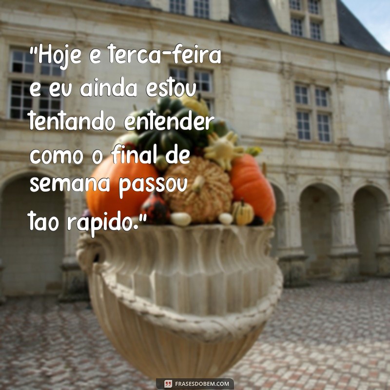 frases de terça feira engraçadas 