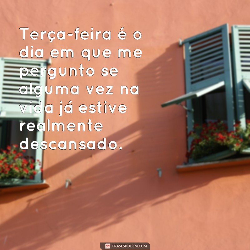 Divirta-se com as melhores frases engraçadas para a sua terça-feira! 